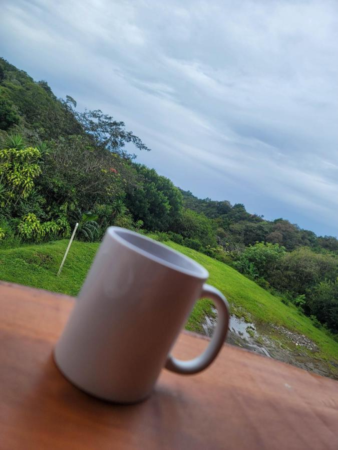 Cabinas Selva Verde Monteverde Exteriér fotografie